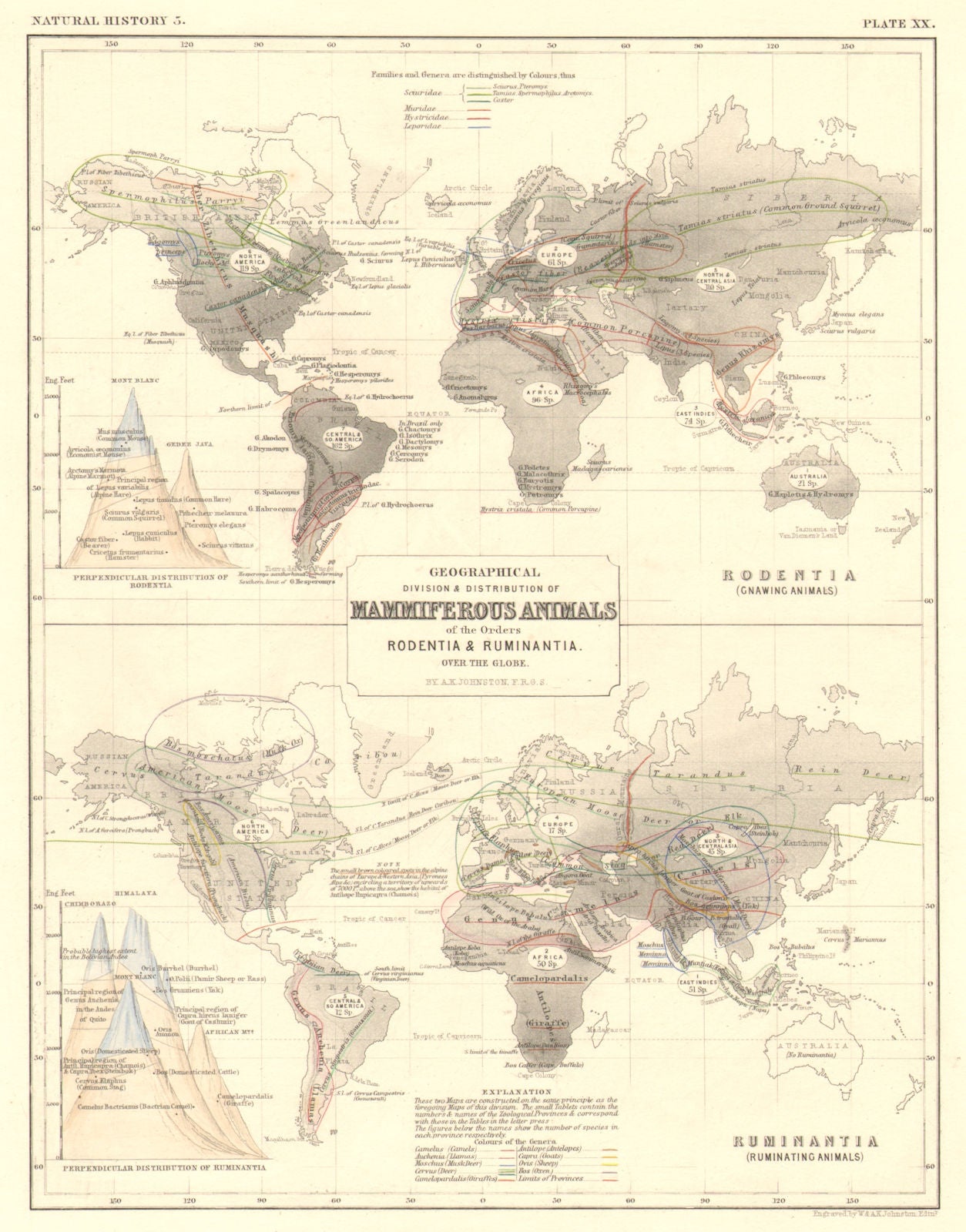 WORLD. Geographical distribution of Mammals Rodentia Ruminantia 1850 old map